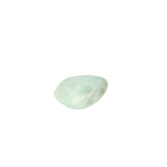 Larimar Dolfijnatlantissteen