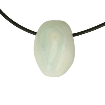 Larimar Dolfijnatlantissteen