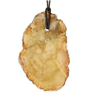 Versteend hout