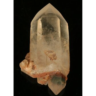 Tangerine Lemurian