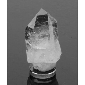 Silver Line Lemurian&nbsp; uit Diamantina