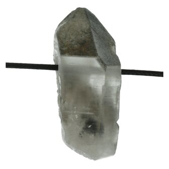 Black Phantom Lemurian uit Bahia