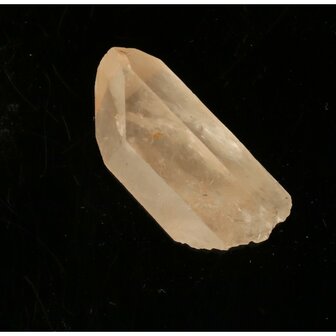 Tangerine Lemurian