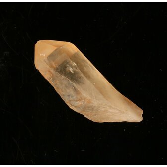 Tangerine Lemurian