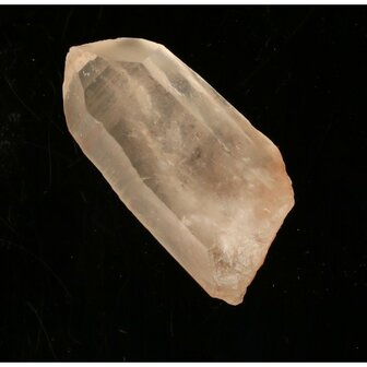 Tangerine Lemurian