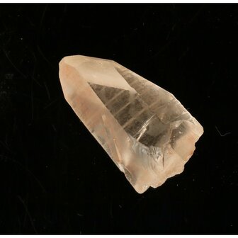 Tangerine Lemurian