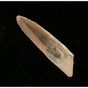 Tangerine Lemurian