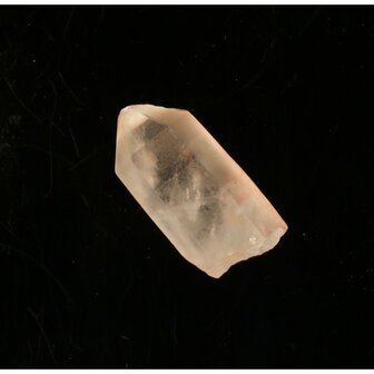 Tangerine Lemurian