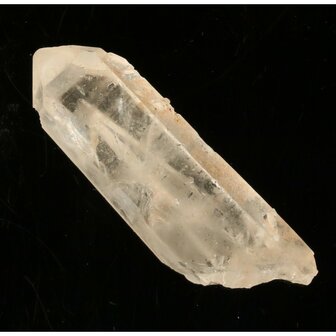 Tangerine Lemurian