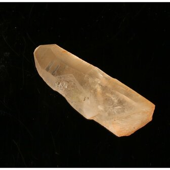 Tangerine Lemurian