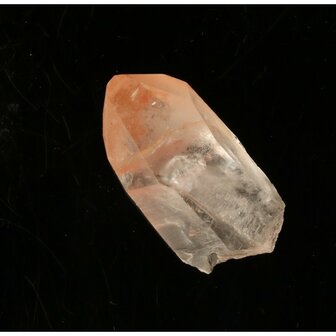 Tangerine Lemurian