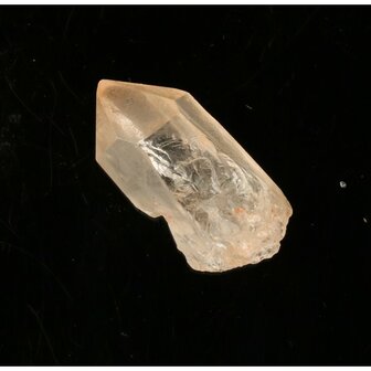 Tangerine Lemurian