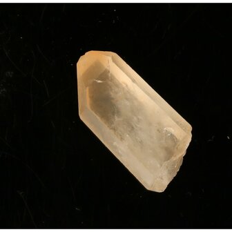 Tangerine Lemurian