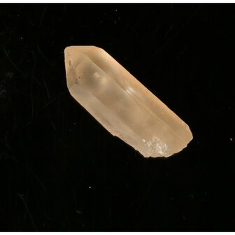 Tangerine Lemurian